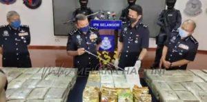 Ganja mana