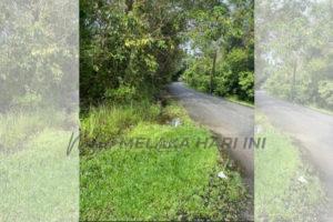 Lokasi kejadian rimau