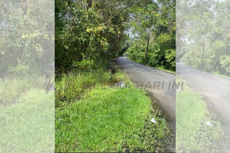 Lokasi kejadian rimau