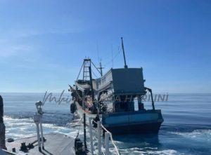 279483505 359480982872300 4529857517804675936 n