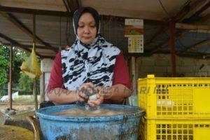 Whatsapp image 2022 04 05 at 12.37.49 pm