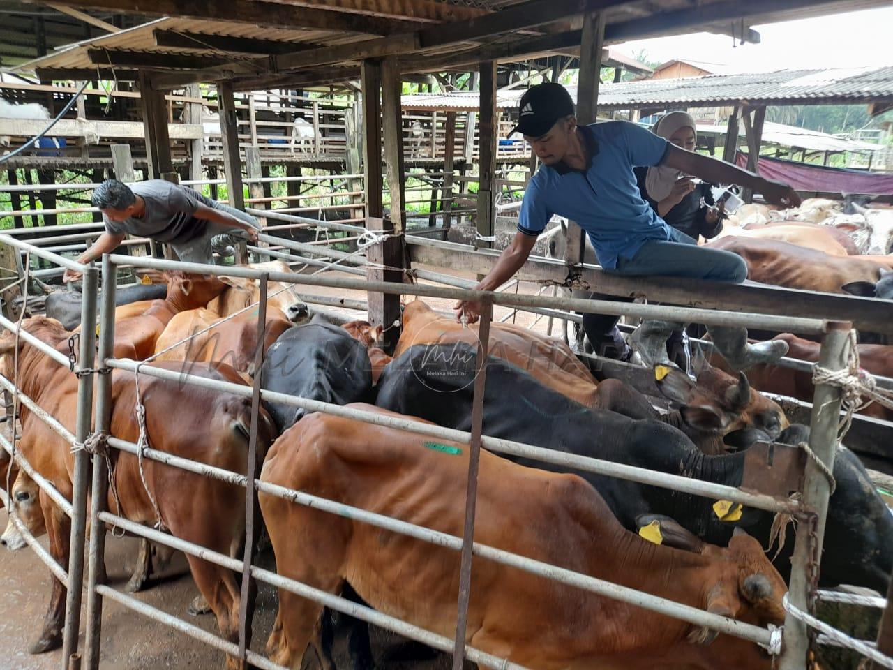 Whatsapp image 2022 05 10 at 9.45.24 am