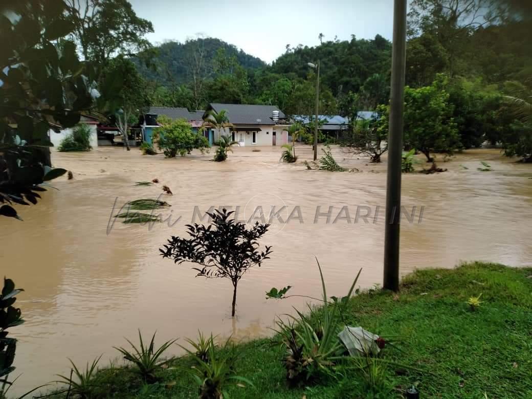 Beberapa kawasan di Janda Baik dilanda banjir kilat