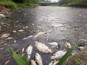 Whatsapp image 2022 05 11 at 3.55.11 pm