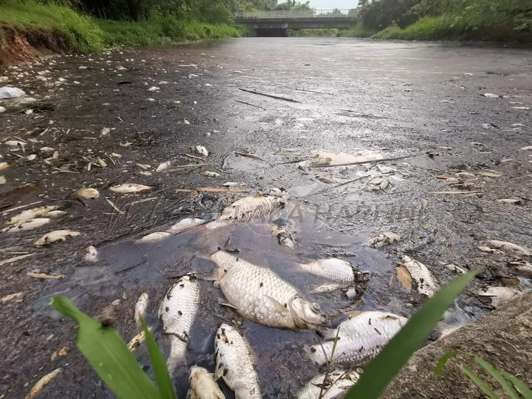 Pencemaran sungai Ngulang, operasi sebuah kilang dihentikan