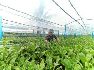 Whatsapp image 2022 05 16 at 5.54.05 pm