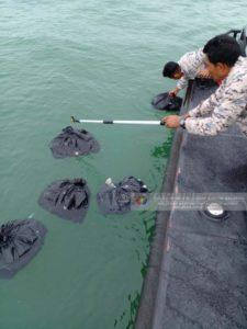 Whatsapp image 2022 05 26 at 11.35.19 pm