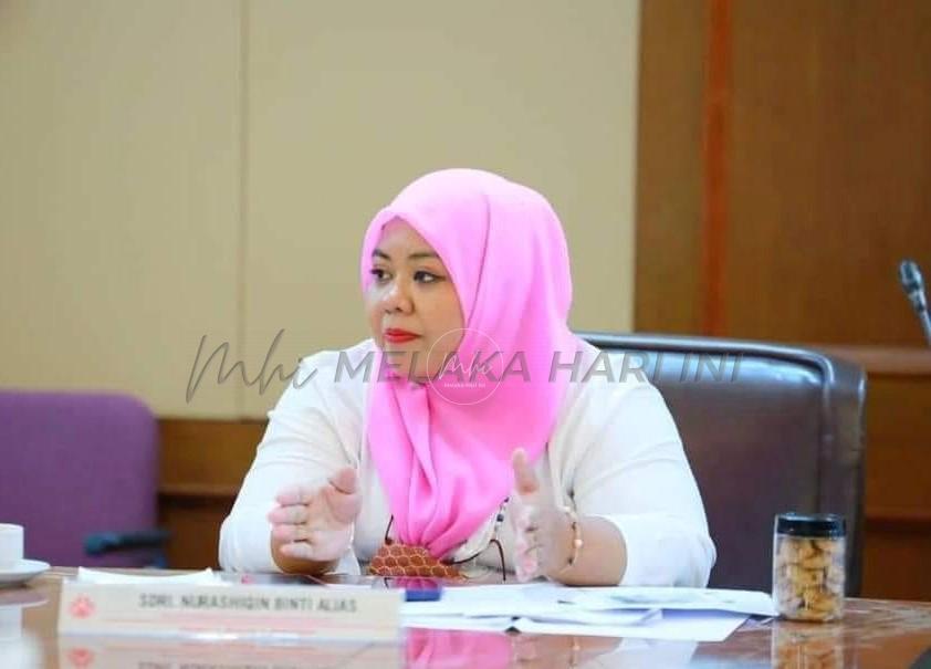 Puteri UMNO nafi mesyuarat cadang Sulaiman dilantik Pengerusi BN, UMNO Melaka