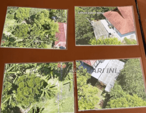 281412541 3654791754645031 3076249292382281777 n