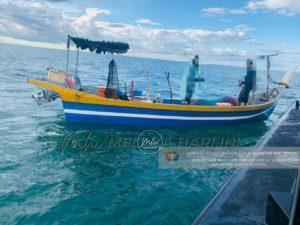 286866171 390986683055063 8207831456442393766 n