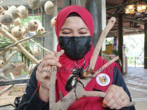 Whatsapp image 2022 06 02 at 3.25.38 pm