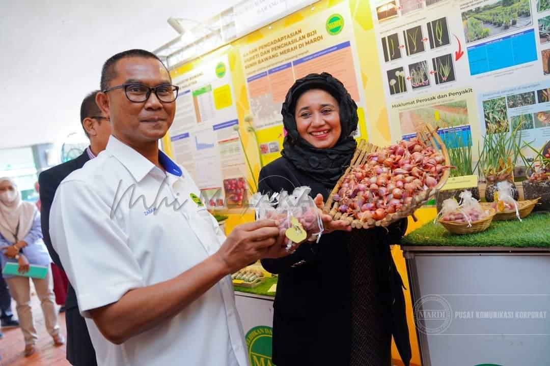 MARDI bangunkan ladang bawang merah di Bachok