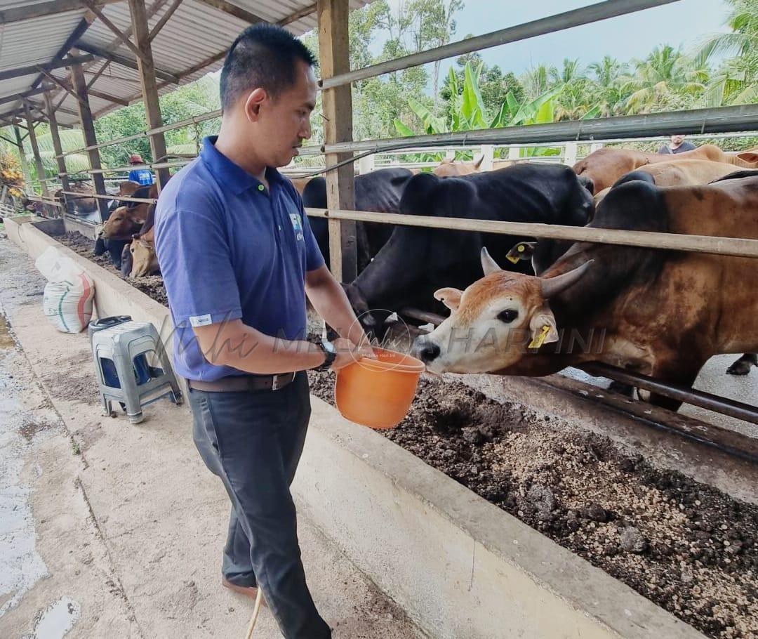 Whatsapp image 2022 06 15 at 5.13.25 pm