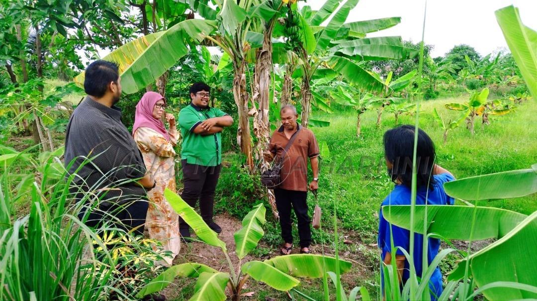 Sistem perparitan dan tali air punca banjir