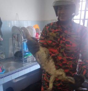 Whatsapp image 2022 06 25 at 1.39.26 pm