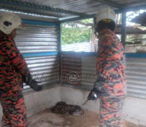 Whatsapp image 2022 06 25 at 10.57.09 am