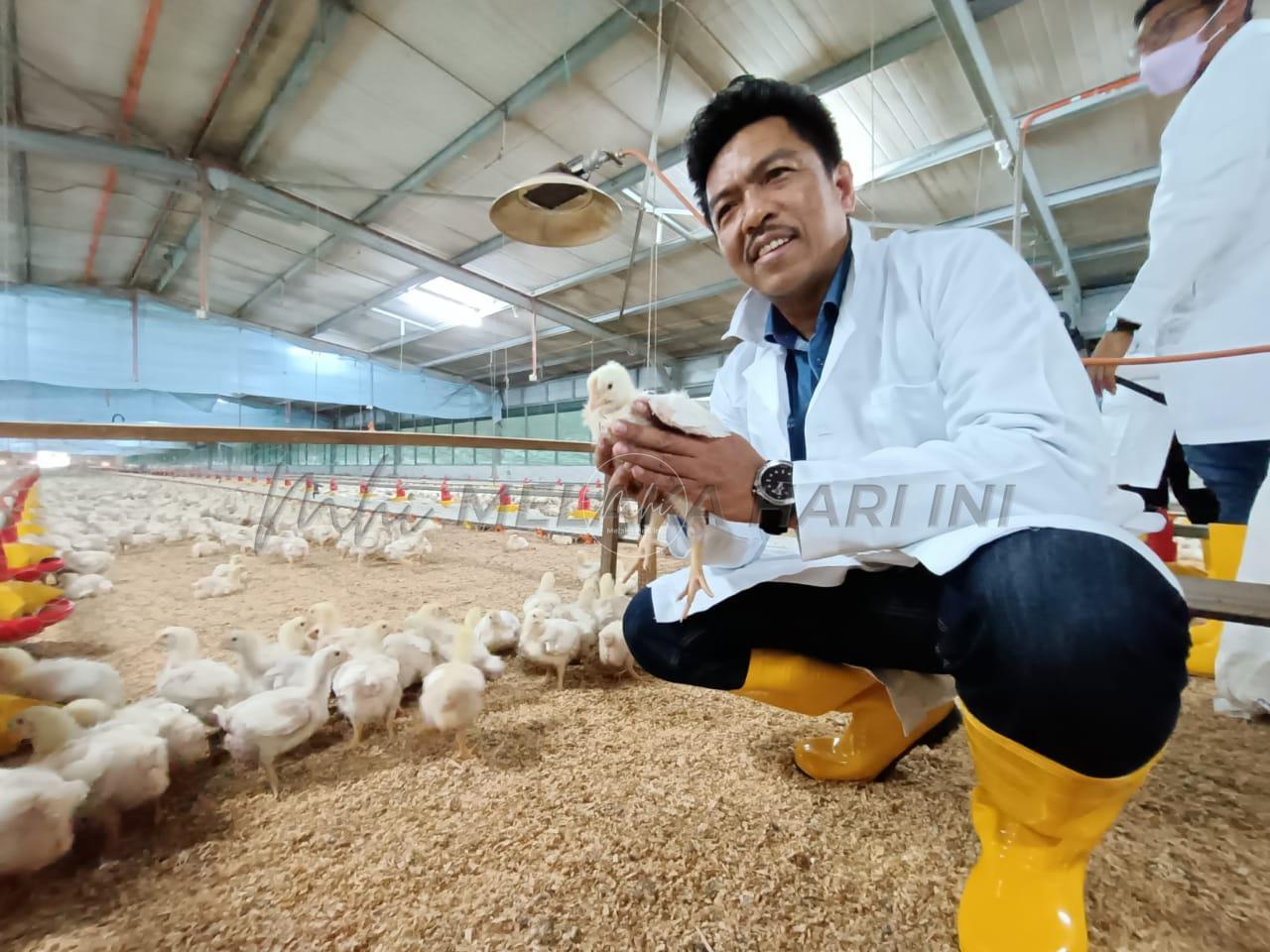 Penternak ayam disaran guna kaedah reban tertutup