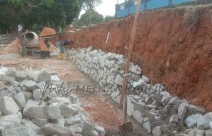 Paya rumput 2