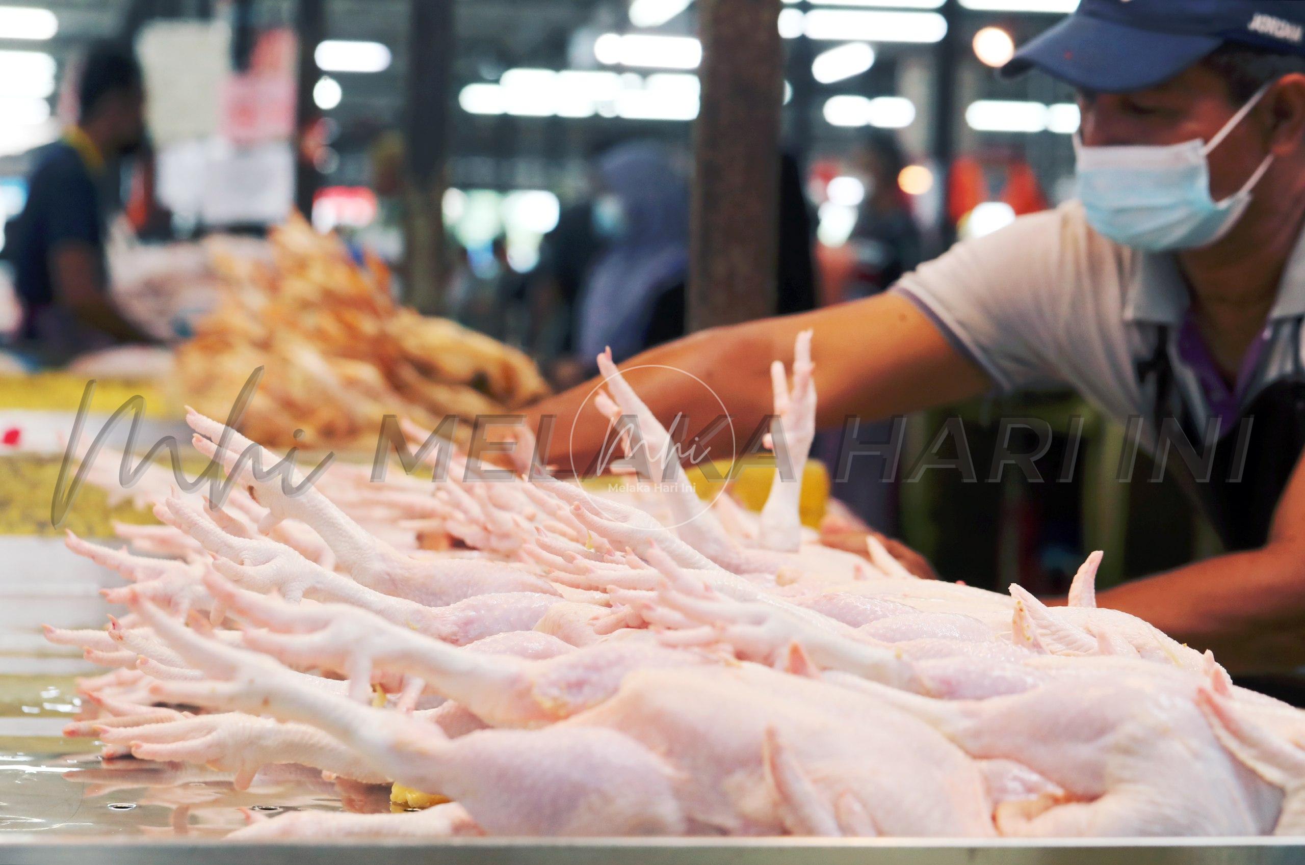 Harga ayam di Melaka naik 70 sen tidak benar