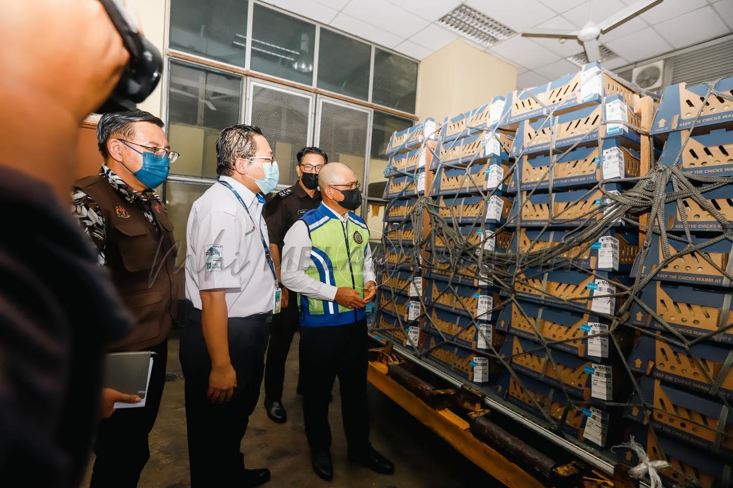 292811912 463290255610296 8978596528160622614 n