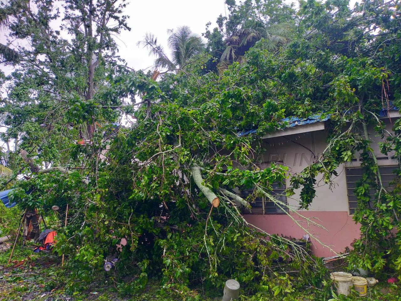 Ribut: 50 buah rumah rosak di Perlis