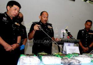 293560961 5630231046997073 6823333957986820988 n