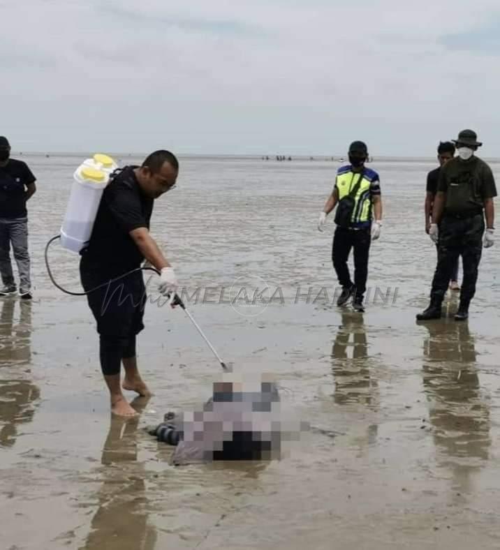 Fb img 1659278893879