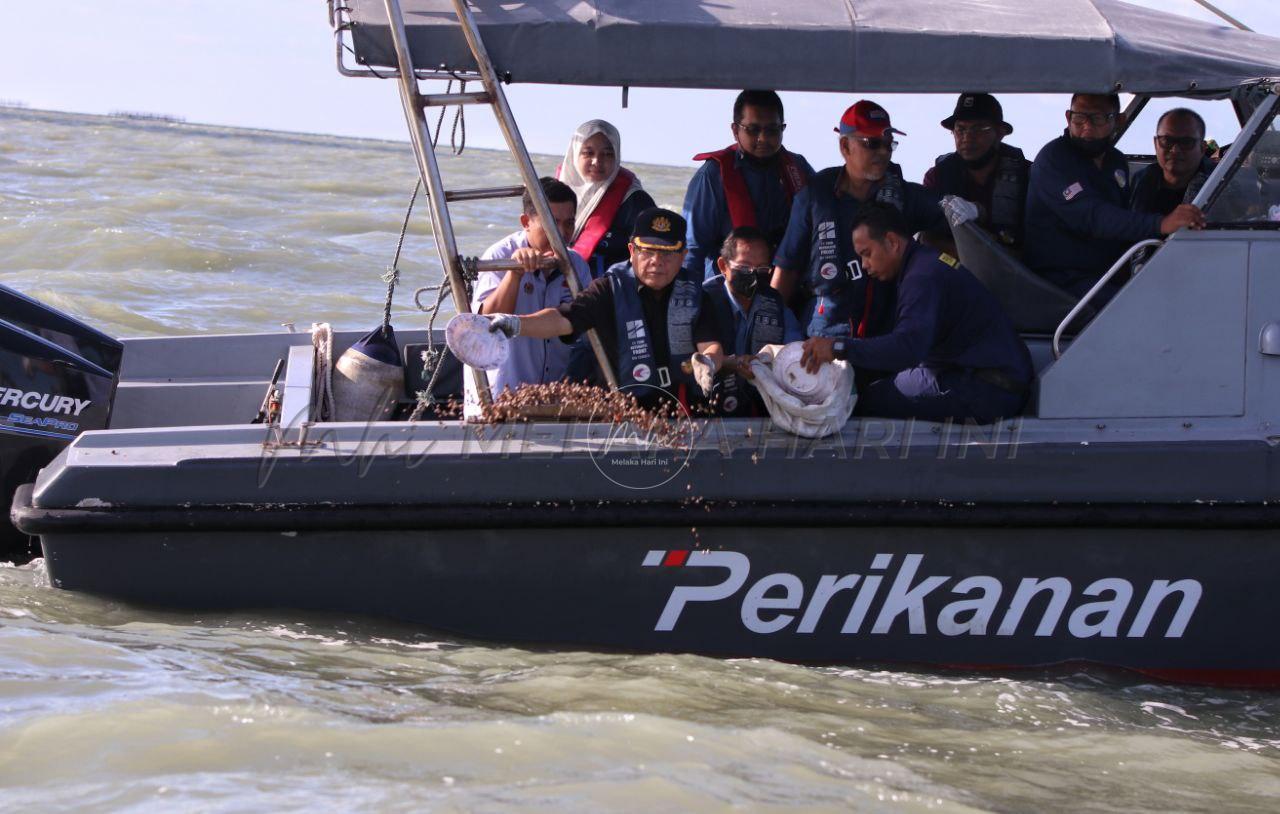 Kebun kerang Melaka miliki potensi besar