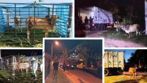 Whatsapp image 2022 07 22 at 12.32.32 pm