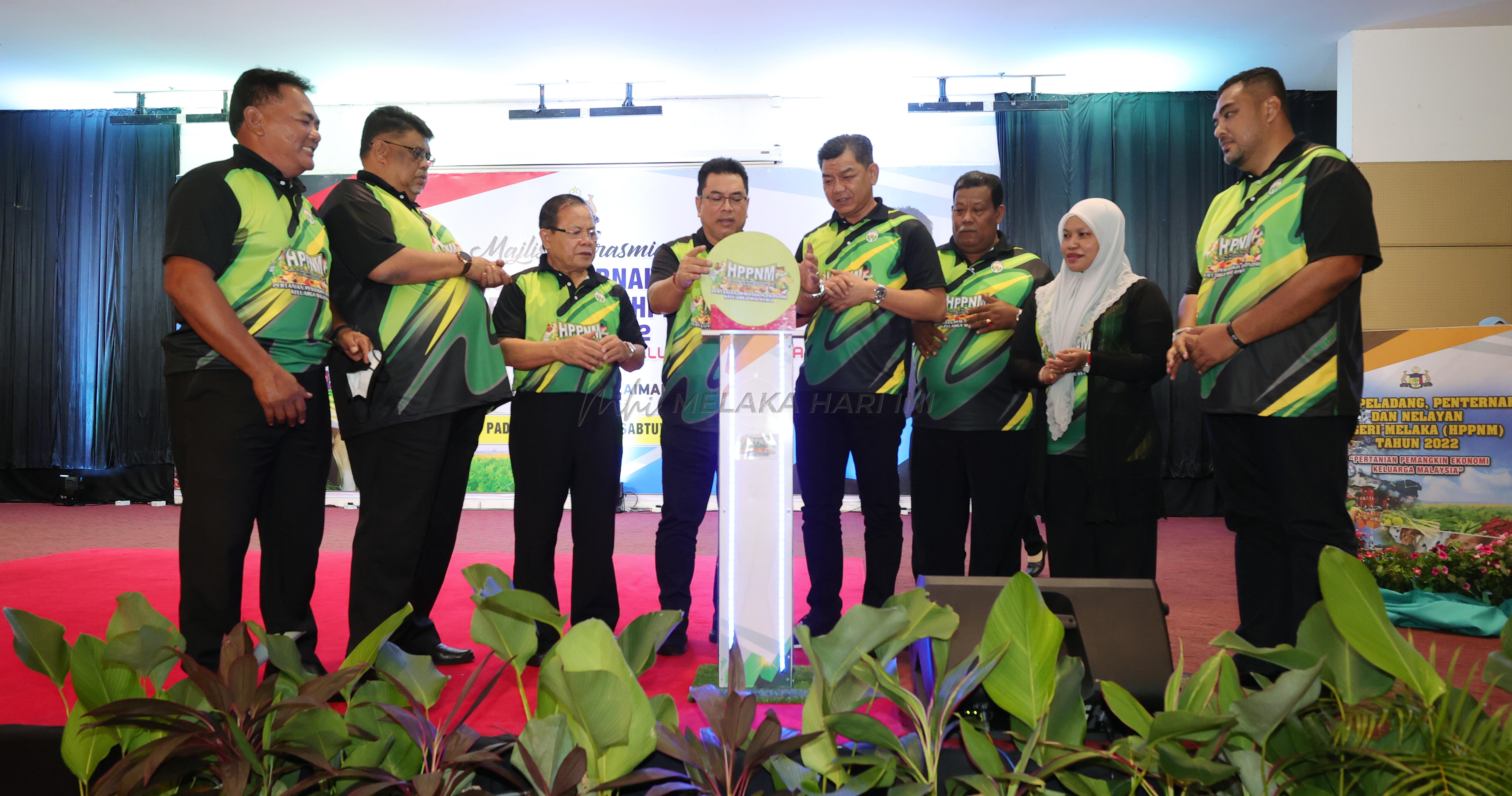 Ladang leman dan rauf