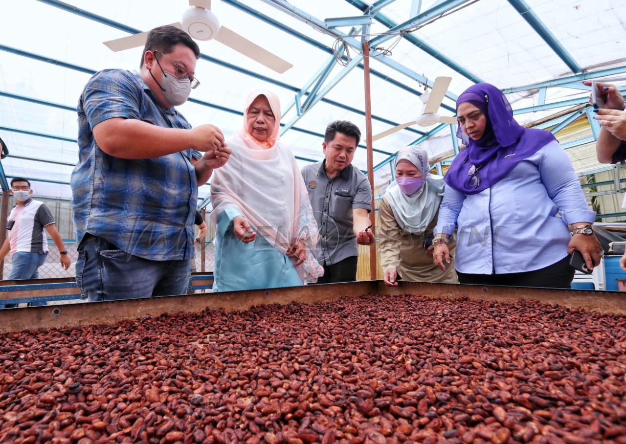 ‘Single origin’ di Panchor sumbang produktiviti koko negara