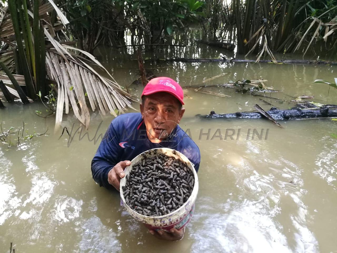 ‘Ditelan’ selut demi siput sedut