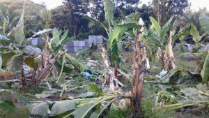 12742574 569924109841241 2784479094374339389 n