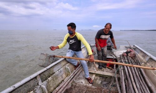 Kebun kerang ubah nasib nelayan