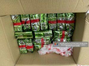 Whatsapp image 2022 08 06 at 10.05.05 am