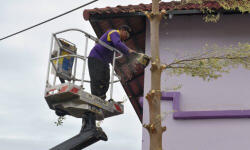 MPJ cantas pokok secara berkala, elak kejadian tidak diingini