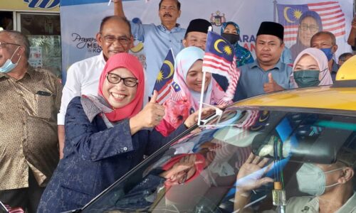 Pemandu teksi patriotik