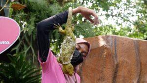 Whatsapp image 2022 08 27 at 3.59.15 pm