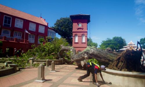 Arboris pakar kesan pokok ‘sakit’