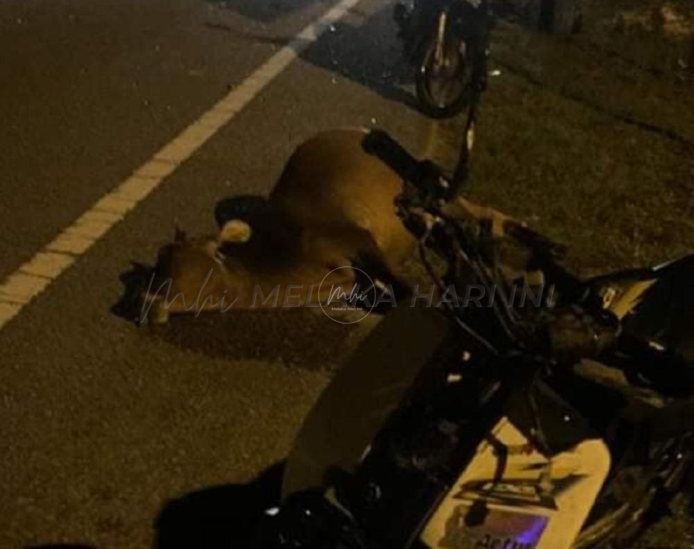 103998061 645164942757109 4733027745445295379 n