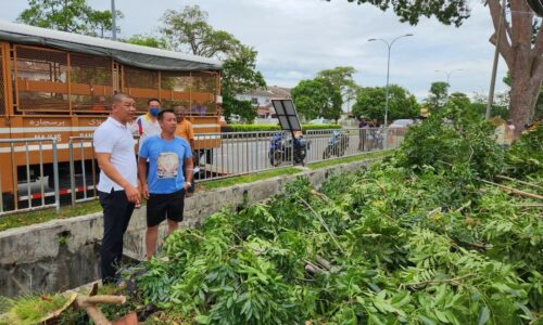 Pokok tumbang: Adun Telok Mas salur bantuan segera
