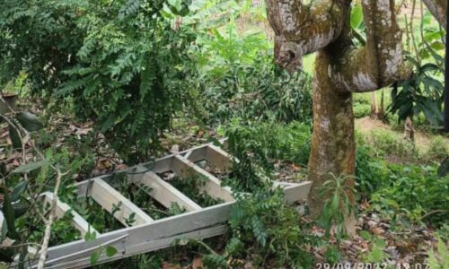 Tragedi potong dahan pokok nangka, warga emas maut terkena parang