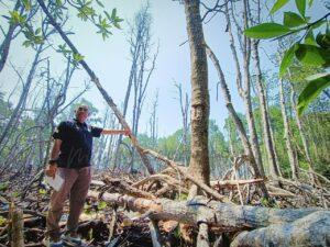 Tanjungtuan reborn 1