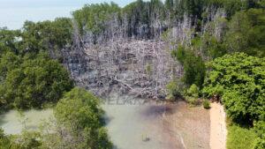 Tanjungtuan reborn 2