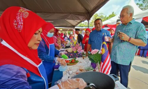 Syarikat telko perlu peka isu capaian internet luar bandar