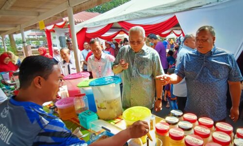 Dira dilantik Pengerusi Majlis Penasihat Perfileman dan Industri Muzik Malaysia