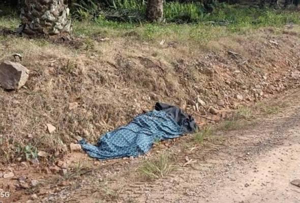 Whatsapp image 2022 09 23 at 2.54.54 pm