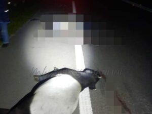 Whatsapp image 2022 09 30 at 7.20.42 am