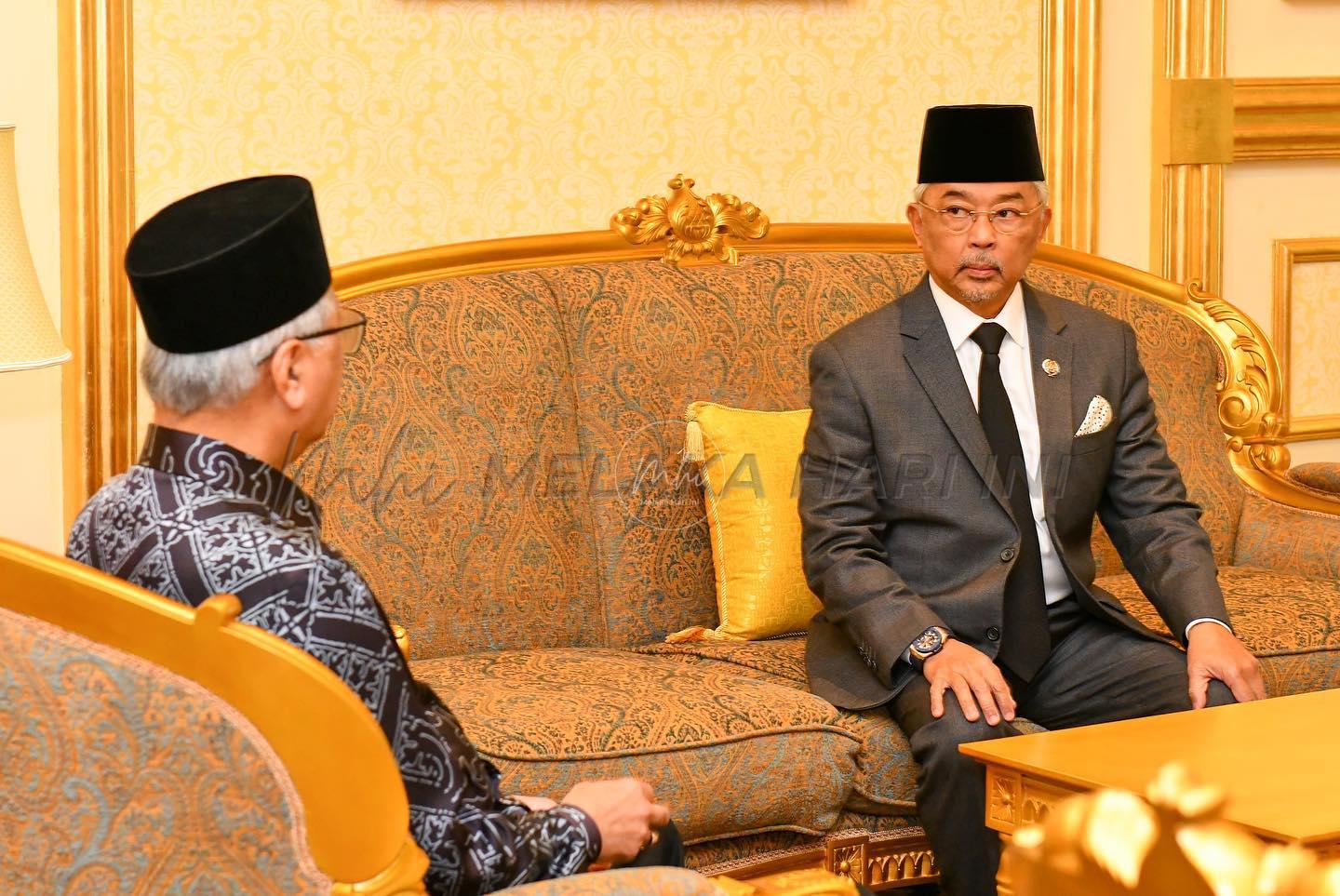 310581983 640154937559911 1285023390198906698 n