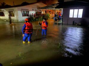 310967410 5467619089983962 1747185465442494588 n